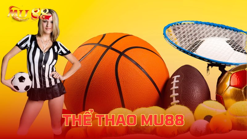 Giới thiệu tổng quan về thể thao Kubet