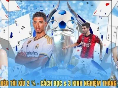 Bắt Kèo Tài Xỉu 2 ¼ - Cách Đọc & 3 Kinh Nghiệm Thắng Lớn