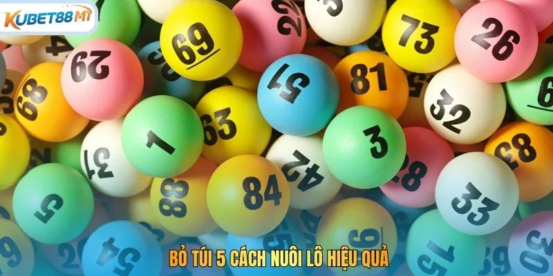 Bỏ túi 5 cách nuôi lô hiệu quả